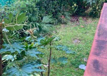 Giardino - Appartamento via Serchio, Massa - foto 16