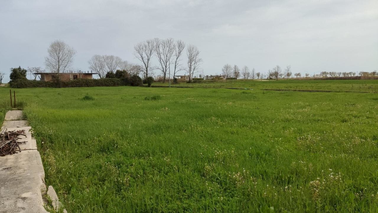 IMG_20240329_125254.jpg - Terreno edificabile Martinsicuro - foto 1