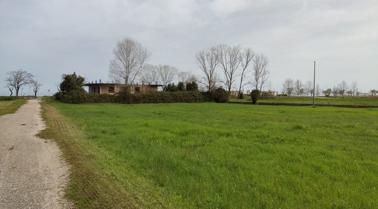 IMG_20240329_125329.jpg - Terreno edificabile Martinsicuro - foto 2