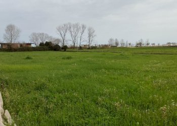 IMG_20240329_125254.jpg - Terreno edificabile Martinsicuro - foto 1