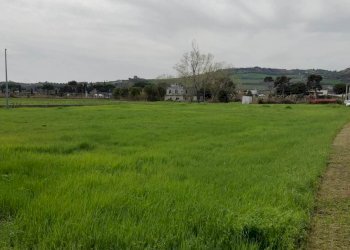 IMG_20240329_125415.jpg - Terreno edificabile Martinsicuro - foto 3