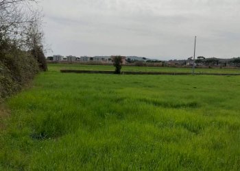 IMG_20240329_125424.jpg - Terreno edificabile Martinsicuro - foto 4