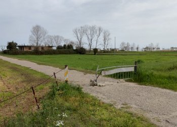 IMG_20240329_125534.jpg - Terreno edificabile Martinsicuro - foto 6