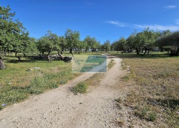 Terreno agricolo Strada Marina, Priolo Gargallo - foto 4