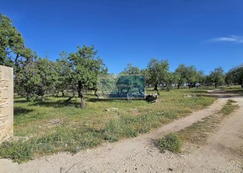 Terreno agricolo Strada Marina, Priolo Gargallo - foto 5