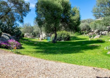 giardino - Villa ARZACHENA, Arzachena - foto 40