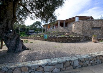 vista dal vialetto di ingresso  - Villa ARZACHENA, Arzachena - foto 46