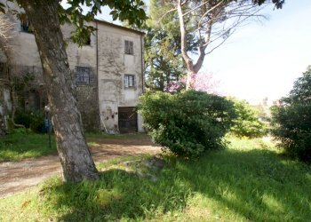 DSC06488.JPG - Villa Trifamiliare Arcola - foto 2