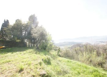 DSC06518.JPG - Villa Trifamiliare Arcola - foto 5