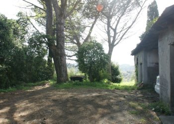 DSC06522.JPG - Villa Trifamiliare Arcola - foto 9