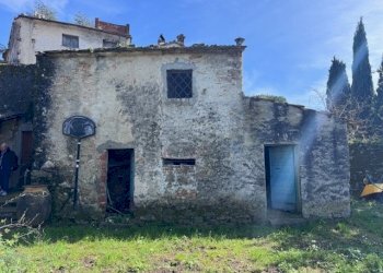 IMG_8228.jpg - Villa Trifamiliare Arcola - foto 14