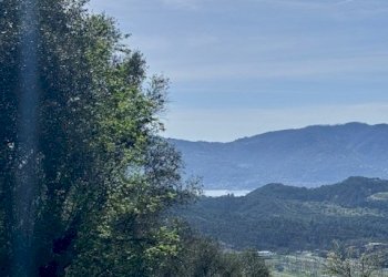 IMG_8232.jpg - Villa Trifamiliare Arcola - foto 16