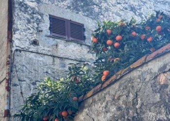 IMG_8234.jpg - Villa Trifamiliare Arcola - foto 18