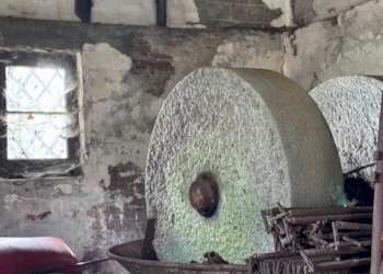 IMG_8236.jpg - Villa Trifamiliare Arcola - foto 19