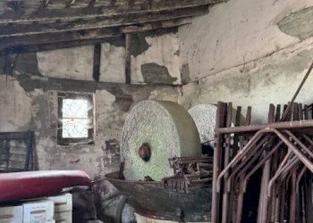 IMG_8237.jpg - Villa Trifamiliare Arcola - foto 20