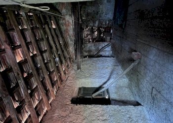 IMG_8247.jpg - Villa Trifamiliare Arcola - foto 27