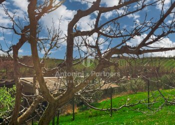 Casale dei Mori-10.jpg - Casale Todi - foto 7