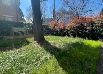 Casa indipendente Reggio nell'Emilia - foto 14