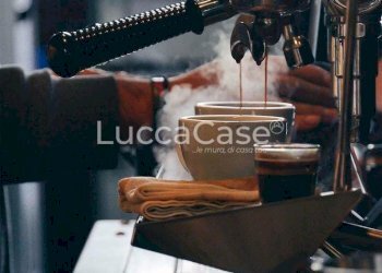 Bar Tavola Calda - Fredda Capannori - foto 1