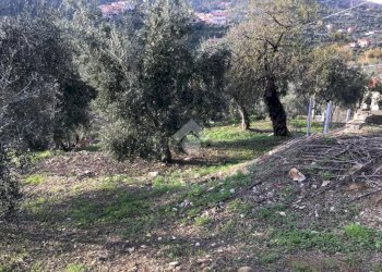 Building land Via Nazionale, Imperia - photo 4