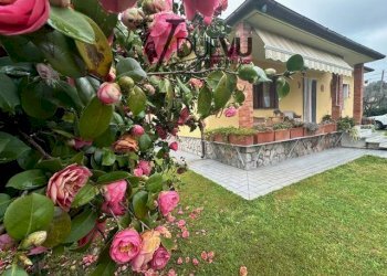 Independent house via Don Minzoni, Forte dei Marmi - photo 7