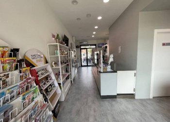 Interno non residenziale - Bar - Tobacco - Ricevitoria La Loggia - photo 9