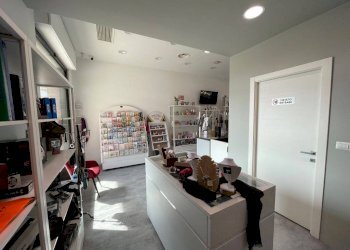 Interno non residenziale - Bar - Tobacco - Ricevitoria La Loggia - photo 11