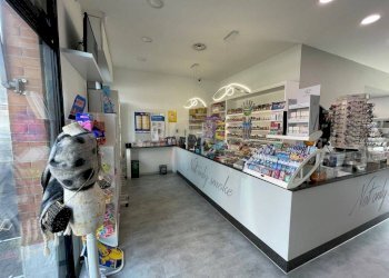 Interno non residenziale - Bar - Tobacco - Ricevitoria La Loggia - photo 12