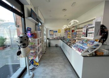 Interno non residenziale - Bar - Tobacco - Ricevitoria La Loggia - photo 19