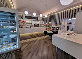 sala bancone - Bar Tavola Calda - Fredda via Vincenzo Virginio, Pinerolo - foto 2