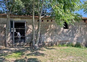 20230908_130848.jpg - Portion of a house Via Valle Molina, Montecastrilli - photo 4