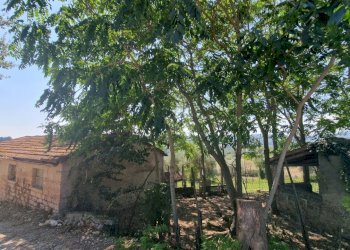 20230908_131708.jpg - Portion of a house Via Valle Molina, Montecastrilli - photo 7