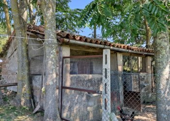 20230908_130905.jpg - Portion of a house Via Valle Molina, Montecastrilli - photo 8