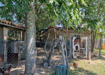 20230908_130908.jpg - Portion of a house Via Valle Molina, Montecastrilli - photo 9
