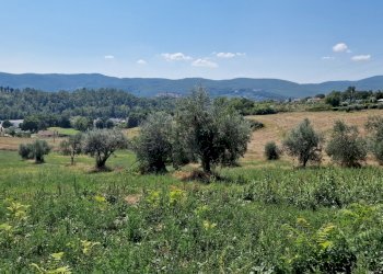 20230908_130950.jpg - Portion of a house Via Valle Molina, Montecastrilli - photo 10