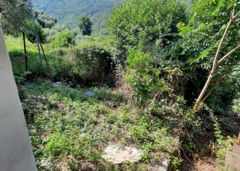 WhatsApp Image 2024-03-11 at 18.06.32 (2).jpeg - Terratetto - Terracielo Via Pontano 37, Castiglione Chiavarese - foto 7