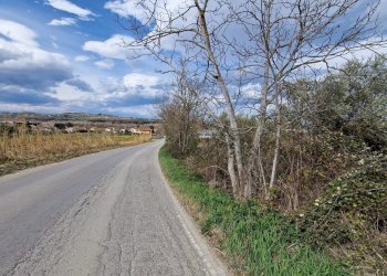 Terreno edificabile Via Del Lavoro, Moscufo - foto 4