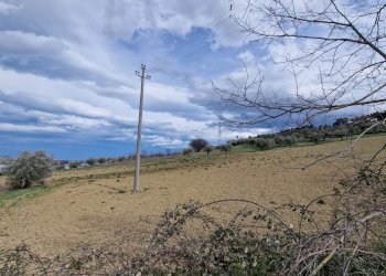 Terreno edificabile Via Del Lavoro, Moscufo - foto 7