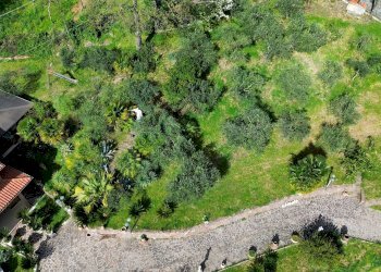 Villa sp ex ss88, Altavilla Irpina, Italia, Altavilla Irpina - foto 17