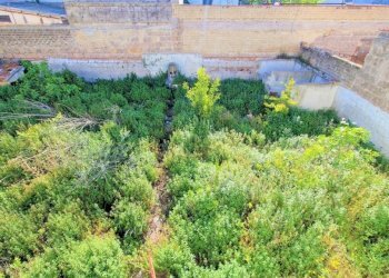 Casa indipendente Mondragone - foto 6