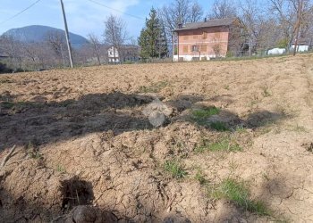 Terreno edificabile Via Piola, Baiso - foto 7