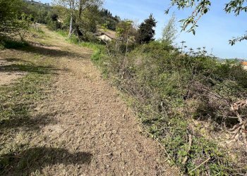 Casa indipendente CONTRADA ASO, Montefiore dell'Aso - foto 10