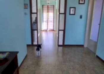 Interno appartamento - Quadrilocale via Guglielmo Marconi, 11, Mombercelli - foto 6