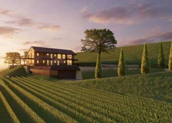 Giardino - Rustico strada Antiche Serre, Alba - foto 12