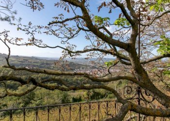 vista - Rustic strada Antiche Serre, Alba - photo 16