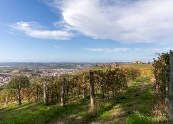 Altro - Rustico strada Antiche Serre, Alba - foto 17