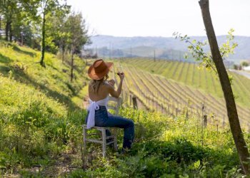 Altro - Rustico strada Antiche Serre, Alba - foto 18