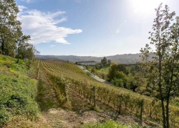 Vista - Rustico strada Antiche Serre, Alba - foto 30