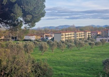 07.jpg - Appartamento Via Console Flaminio, Tuoro sul Trasimeno - foto 7