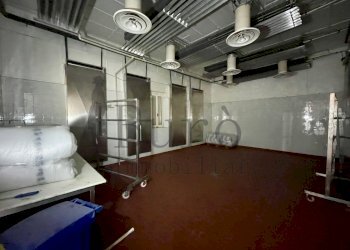 IMG_5500.jpg - Commercial Premises strada del borgo reno 73, Tizzano Val Parma - photo 2